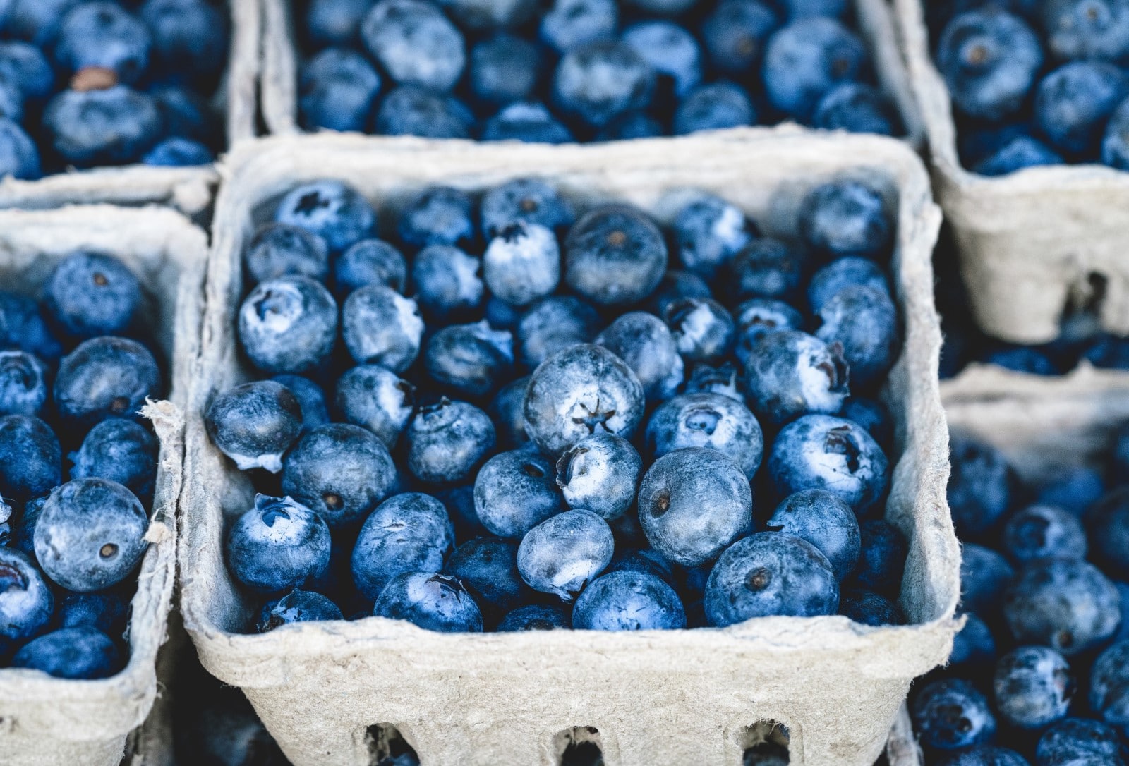 Healthy Foods List: Blueberries